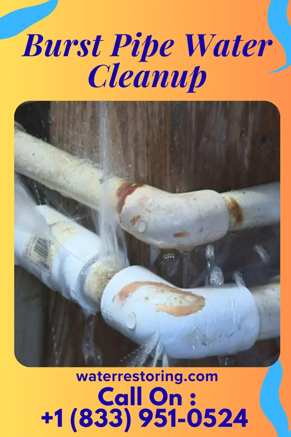 Burst Pipe Water Cleanup in Pleasant Garden, NC