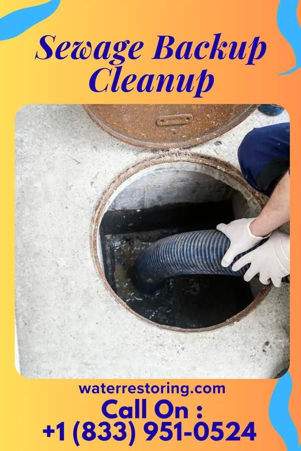 Sewage Backup Cleanup in Pleasant Garden, NC