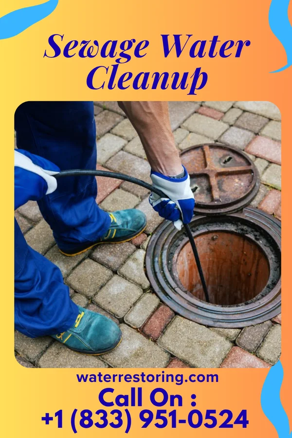 Sewage Water Cleanup in Pleasant Garden, NC