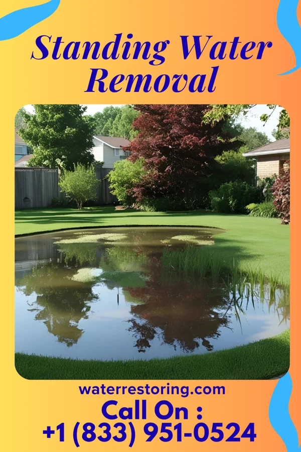Standing Water Removal in Pleasant Garden, NC
